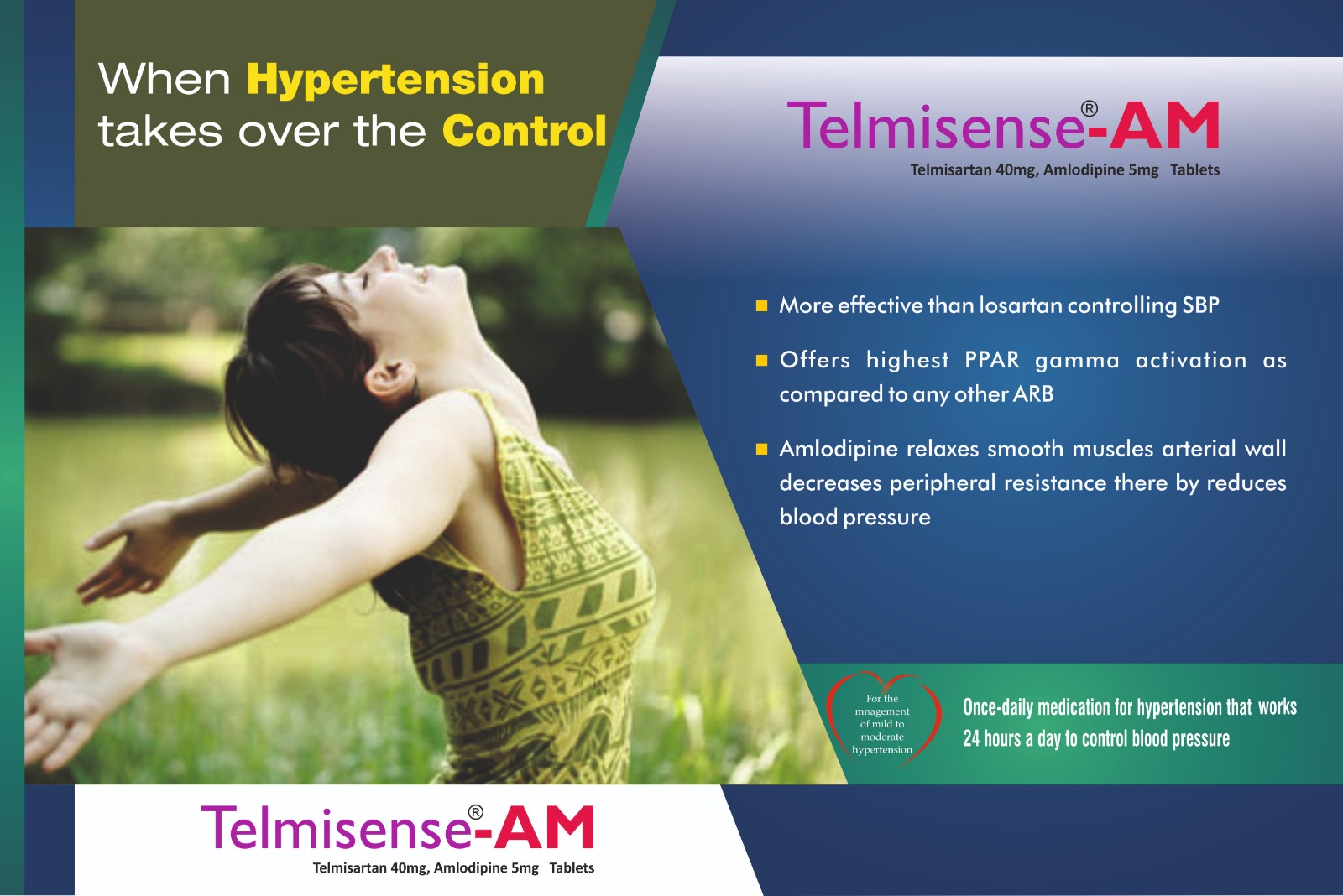 Telmisense-AM